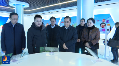 V视丨朱庆刚来通山县调研人大工作