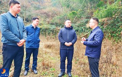 王功辉开展巡林巡库工作时强调：压实责任 系统治理 全力守护绿水青山