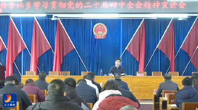 【学习贯彻党的二十届四中全会精神】V视丨县领导赴杨芳林乡宣讲党的二十届四中全会精神