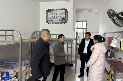 九宫山镇：开展校园安全与基层教育提升综合检查