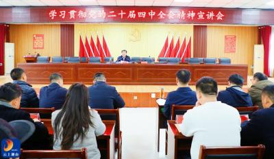 【学习贯彻党的二十届四中全会精神】V视丨吴涛到南林桥镇宣讲党的二十届四中全会精神  作示范 争排头 奋力冲击“百亿强镇”目标