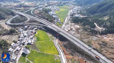 V视丨聚焦县委十五届十四次全会：城乡融合绘新卷 乡村振兴底色更鲜亮