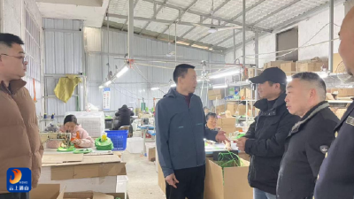 杨芳林乡开展节前安全生产隐患大排查大整治专项行动