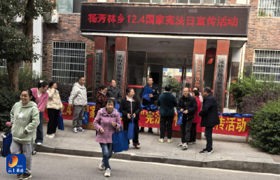 【宪法宣传周】杨芳林乡：多形式开展“12·4”国家宪法日活动  让法治精神浸润群众生活