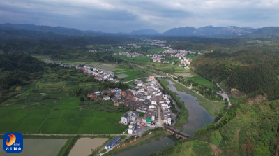 【学精神•谋发展——学习贯彻党的二十届四中全会精神】V视丨杨芳林乡：学精神锚定航向  践实干兴乡惠民