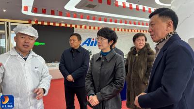 精准对接产业资源 深化区域合作共赢 县领导带队赴安徽宿州开展招商考察