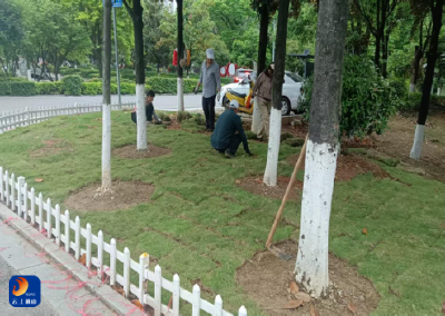 县城管局：百日攻坚提颜值 精细管护展新颜