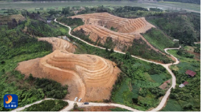 湖北通山：成立枇杷产业联合党委抱团发展链上生金