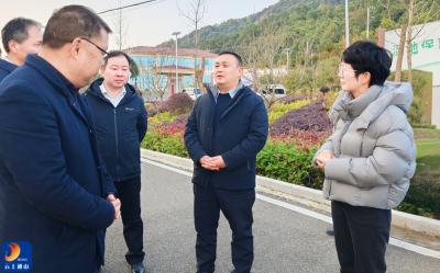 王功辉调研富水湖流域生态保护与融合发展工作：护好一湖碧水 富足一方百姓  推动生态保护与融合发展协同并进