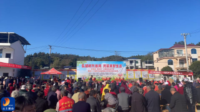 洪港镇：文艺搭台播法种 普法惠民润心田