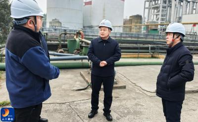 V视丨王功辉调研重点企业经营情况时强调：锚定高质量发展首要任务 推动产业向高端化智能化绿色化跃升