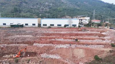 湖北通山：“彩”笔生“金”绘就乡村振兴新图景