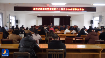 V视丨【学习贯彻党的二十届四中全会精神】县林业局召开学习贯彻党的二十届四中全会精神宣讲会