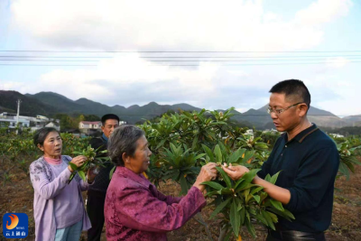 部门联合  村组联手  多方联动  通山县采取“三联”确保中彩项目落地开花结果
