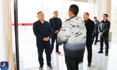 V视丨王功辉到大畈镇调研乡村振兴工作