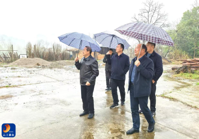 九宫山镇横石村入选省级改革重点村的“发展三重奏”