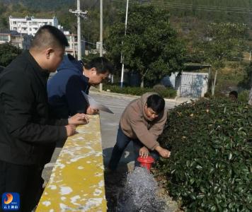 大畈镇：消防栓“落户”   筑牢冬春防火“水源线”