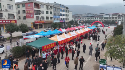 【新春走基层⑧】V视丨南林桥镇：“热气腾腾”的新年集