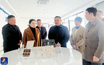 V视丨王功辉调研通山经济开发区和招商中心工作：强化系统思维，推动项目落地提质增效