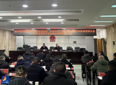 县自然资源和规划局：凝心聚力抓项目 从严从实促整改