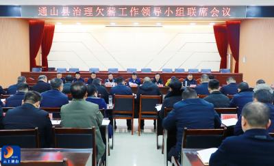 V视丨吴涛主持召开治理欠薪工作领导小组联席会 凝心聚力筑牢“安薪”防线