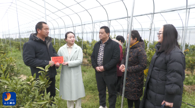 V视丨市总工会来我县慰问通山新业态职工