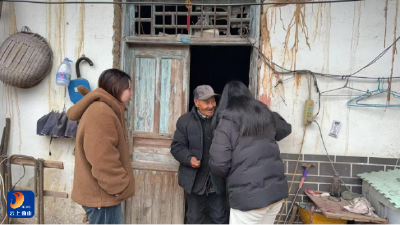南林桥镇：敲门送暖铲冰雪 青年志愿显担当
