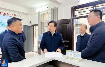 V视丨乐建舜赴南林桥镇调研平安建设与产业发展