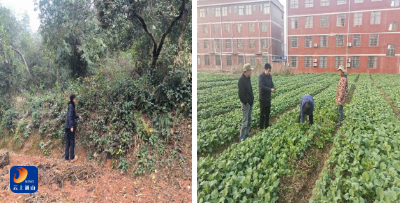 燕厦乡：踏查宣传齐发力 禁种铲毒筑防线