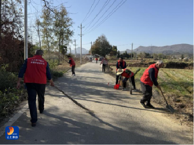 【清洁家园在行动】 杨芳林乡：响应百日攻坚部署 清洁日展现新作为 
