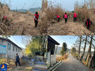 【清洁家园在行动】洪港镇下湾村：清茅利剑筑屏障 履职尽责保民安