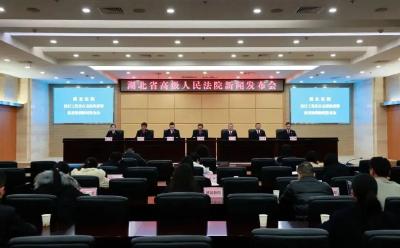 通山法院作为基层法院代表亮相湖北高院执行工作及打击“拒执犯罪”典型案例新闻发布会