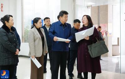 V视丨吴涛深入南林桥镇调研督导 聚焦产城融合赋能高质量发展