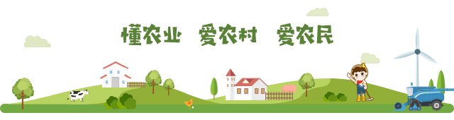 冷空气“冻”真格？别慌！主要农作物防寒攻略来了