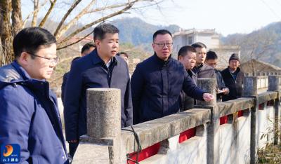 V视丨吴涛深入南林桥镇调研：以民生实事成效擦亮乡村振兴成色