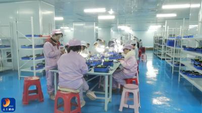 【新春走基层⑰】巅峰光电生产忙