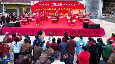 南林桥镇：青年志愿者全力护航年货节活动