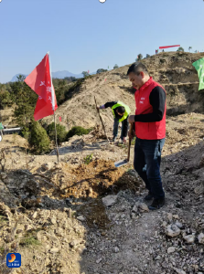 杨芳林乡：栽下“黄金树” 共筑“致富路”