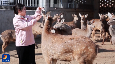 通山：沃土育才 为返乡者铺路 为创业梦搭台