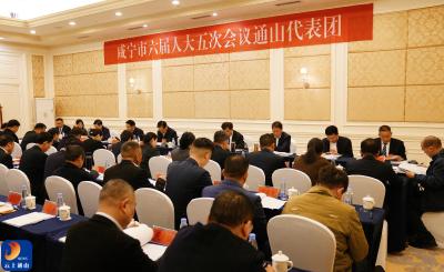 V视丨市领导参加通山代表团审议《政府工作报告》