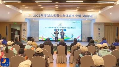 V视丨湖北省“体教融合杯”青少年体育冬令营通山站圆满落幕