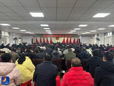 收心归位谋新篇 奋楫争先启新程——大畈镇召开2026年镇委工作会议