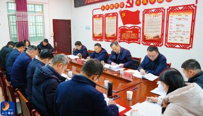 王功辉出席指导九宫山镇2025年度党委民主生活会：锤炼党性作风 夯实执政根基 以实干担当推动高质量发展