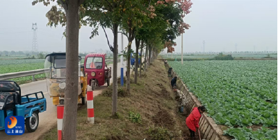 守护河畔 净化河流 通山县各级人大代表与志愿者结伴当好河库长