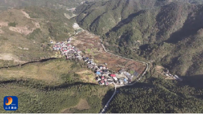 新春走基层㉗丨通山： 把果园建在村头为乡村振兴留住人