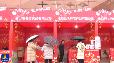 V视丨大冶农发甄选年货节让通山8家企业山货“俏销出圈”
