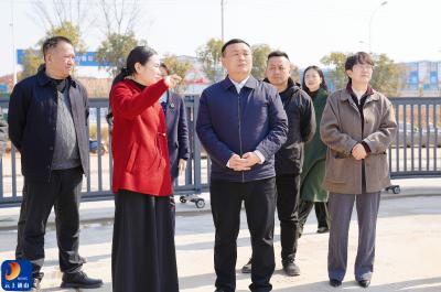 V视丨王功辉调研督办开发区项目建设并开展节前安全生产综合检查