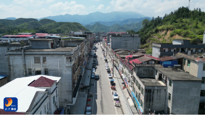 凝心聚力破困局 百日攻坚焕新颜——洪港镇以多项举措提升镇区治理效能