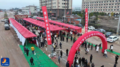 新春走基层㉓丨通山：在招聘会上，感受家乡的“磁力”