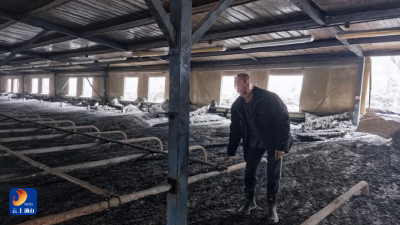 “蚂蚁搬家”偷废铁 积吨成罪终落网——通山公安快速侦破系列盗窃案